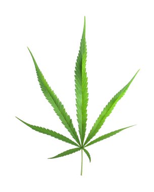 Esrar indica doku arka plan üzerinde.