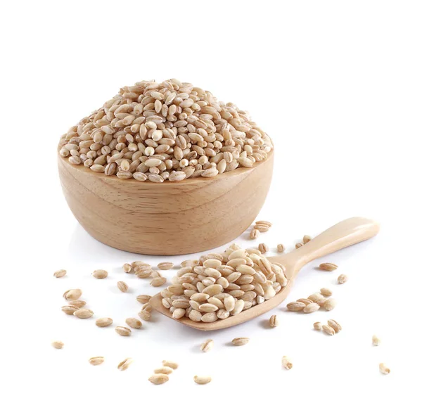 arpa buğday tohumu zemin üzerine inciler