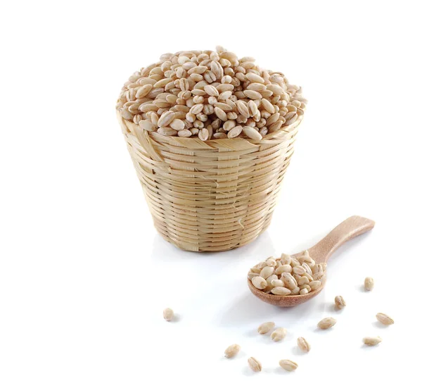 背景に真珠大麦穀物の種 — ストック写真