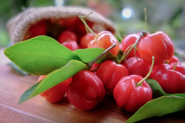 Acerola frutas close-up no fundo — Fotografia de Stock