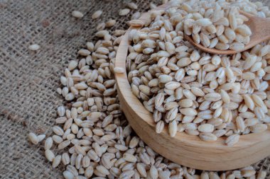 inci arpa tahıl tohum adam üzerinde