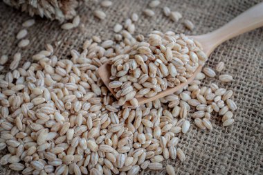 inci arpa tahıl tohum adam üzerinde