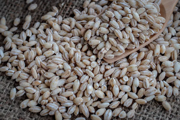 Perlas semillas de grano de cebada en backgroun — Foto de Stock