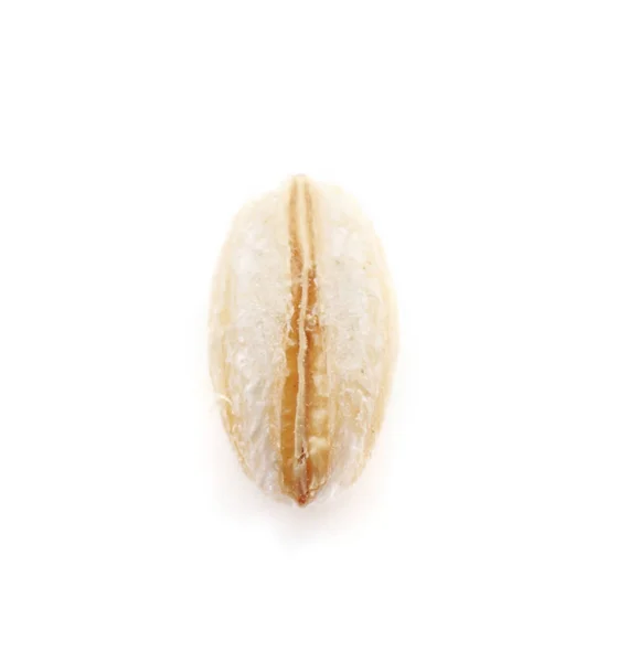 Жемчуг семена ячменя зерна на заднем плане — стоковое фото