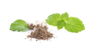 arka plan üzerinde yakın nane yaprakları