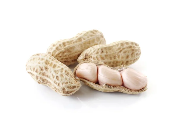 Amendoim close-up isolado no fundo branco — Fotografia de Stock