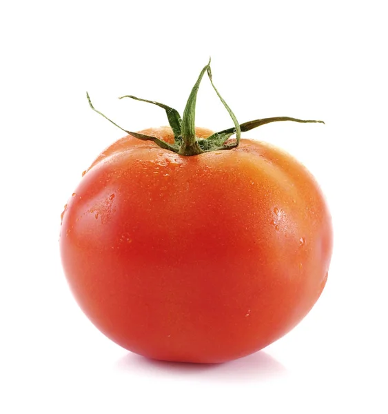 Tomaat, verse geïsoleerd op witte achtergrond — Stockfoto