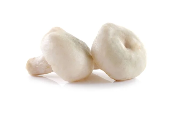 Cogumelos isolados no fundo branco — Fotografia de Stock