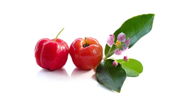 Acerola fruit close up on backgroun — Stock Photo, Image