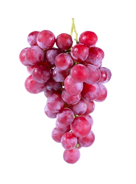 arka plan kadar üzüm berry yakın