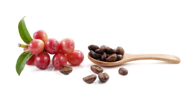 コーヒー豆は比較にクローズ アップ — ストック写真