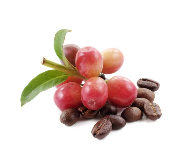 Kahve çekirdekleri arka plan üzerinde yakın çekim