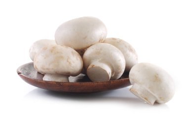 Şampiyon beyaz arkaplanda izole edildi