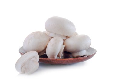 Beyaz adam izole champignon