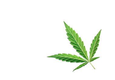 Esrar ortak ot sigara yakın çekim adam üzerinde