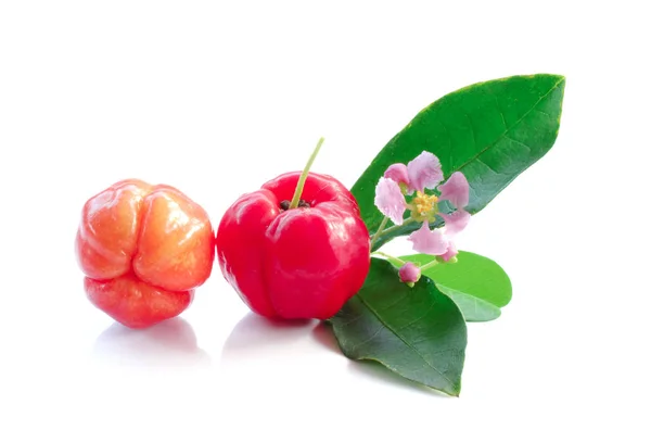 Acerola fruta de cerca en backgroun — Foto de Stock