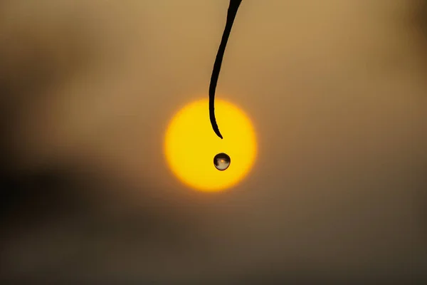 Wassertropfen vor Sonnenuntergang. — Stockfoto