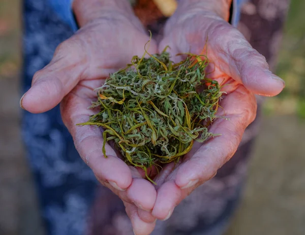 Esrar ortak ot sigara yakın çekim adam üzerinde