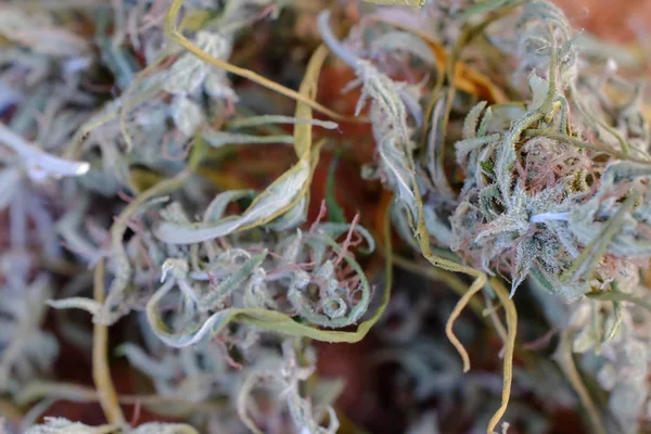 marijuana joint weed smoking close up on backgroun