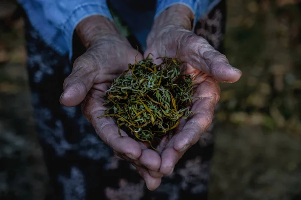 Марихуана трава сустава курение близко на backgroun — стоковое фото