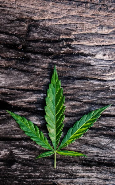 marijuana joint weed smoking close up on backgroun