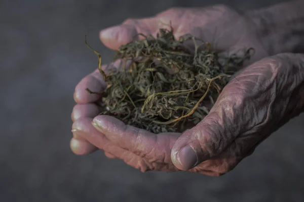Esrar ortak ot sigara yakın çekim adam üzerinde
