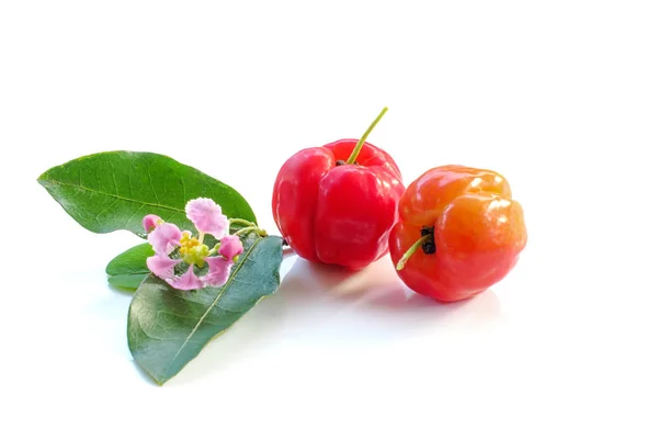 Acerola fruta de cerca en backgroun — Foto de Stock