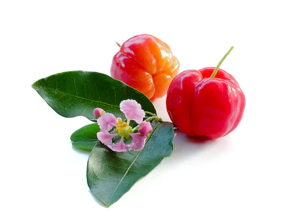 Acerola fruta de cerca en backgroun — Foto de Stock