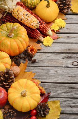 Pumpkins ile düşme arka plan