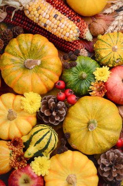 Pumpkins ile düşme arka plan