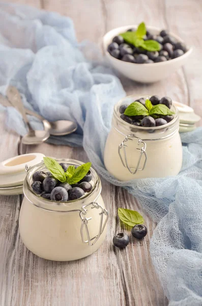 Yogur casero natural con arándanos y menta — Foto de Stock