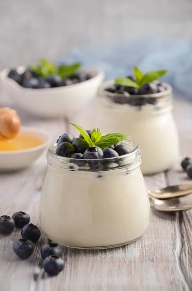 Hausgemachter Naturjoghurt mit Blaubeere und Minze — Stockfoto