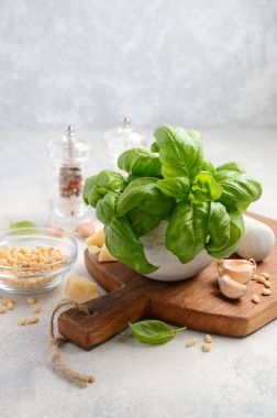 Yeşil pesto sos yapmak için malzemeler. Sağlıklı Italyan Mutfagi. 