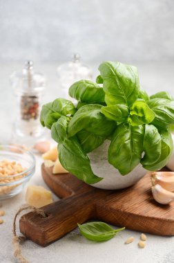Yeşil pesto sos yapmak için malzemeler. Sağlıklı Italyan Mutfagi. 