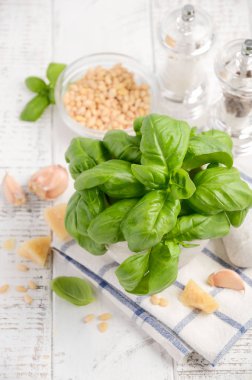 Yeşil pesto sos yapmak için malzemeler. Sağlıklı Italyan Mutfagi.