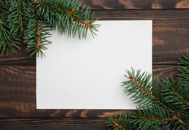 Köknar dallı Noel arkaplanı.