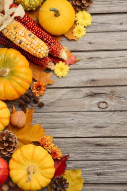 Pumpkins ile düşme arka plan.