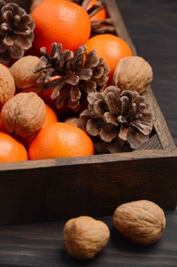 Taze mandalina clementine ile fındık ve koni içinde koyu ahşap arka plan üzerinde ahşap tepsi