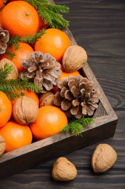 Taze mandalina clementine ile fındık ve koni içinde koyu ahşap arka plan üzerinde ahşap tepsi