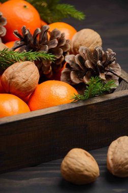 Taze mandalina clementine ile fındık ve koni içinde koyu ahşap arka plan üzerinde ahşap tepsi.