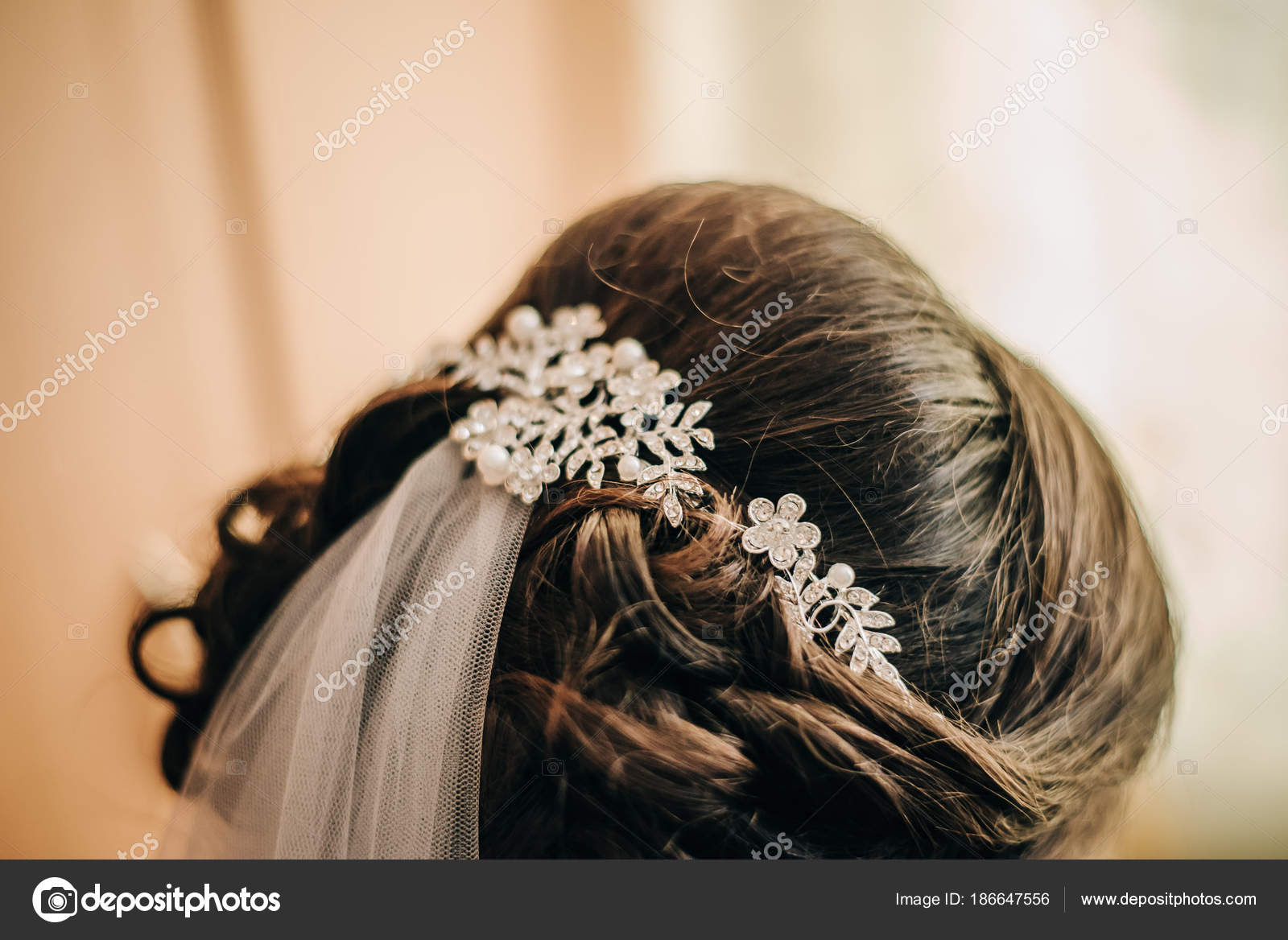 Precious Brooch Beautifully Arranged Bride Hair Keeps Veil Wedding