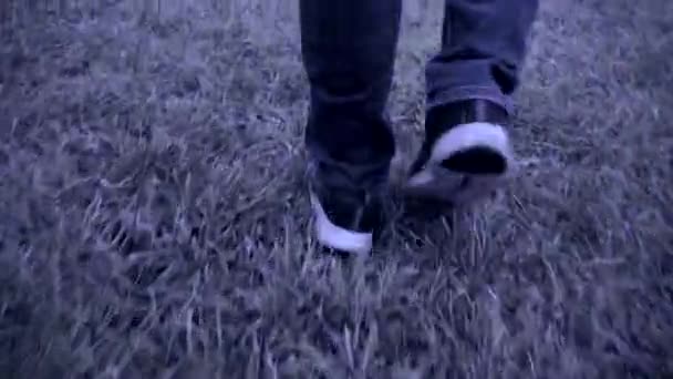 Male Feet Walking Prairie Autumn — Stock Video