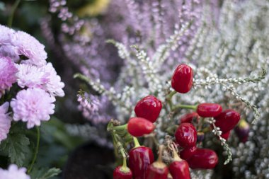 Acı biberlerden ve diğer pembe çiçeklerden oluşan küçük bir demet.