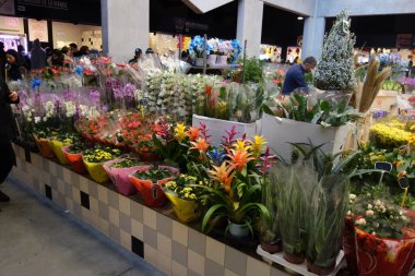 Brüksel, Belçika - 20 Aralık 2019: Çiçek pazarı