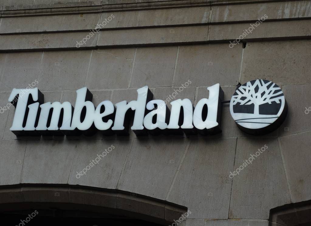 info.cineberg.com