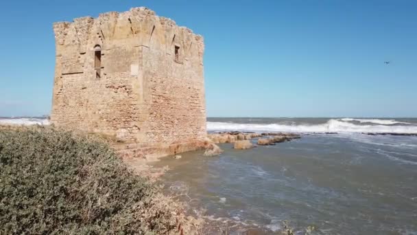 Torre Mare Antiguo Pueblo Pescadores Cerca Bari Italia — Vídeo de stock