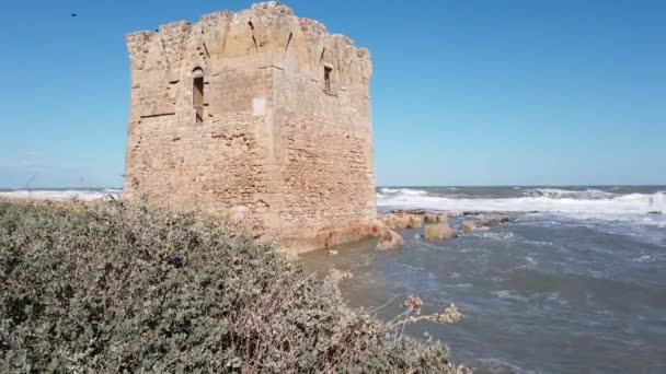 Torre Mare Antiguo Pueblo Pescadores Cerca Bari Italia — Vídeo de stock