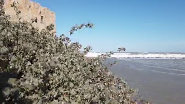 Torre Mare Antiguo Pueblo Pescadores Cerca Bari Italia — Vídeos de Stock