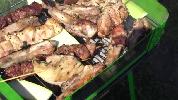 屋外での調理 石炭とバーベキューグリル上の肉 — ストック動画