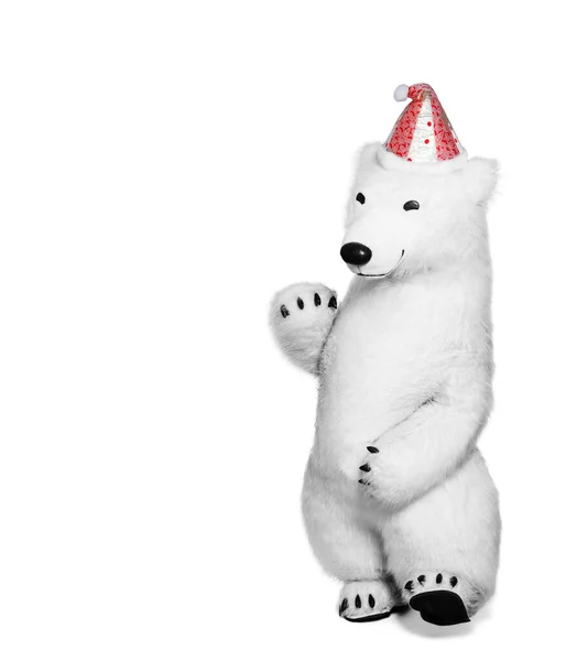 Niedźwiedź polarny w czerwonej czapce machający ręką w powitaniu. Niedźwiedź polarny izolowany na białym tle — Zdjęcie stockowe